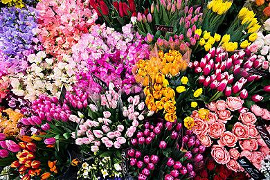 《地平线：零之曙光》WeGame版预告 5月31日上线